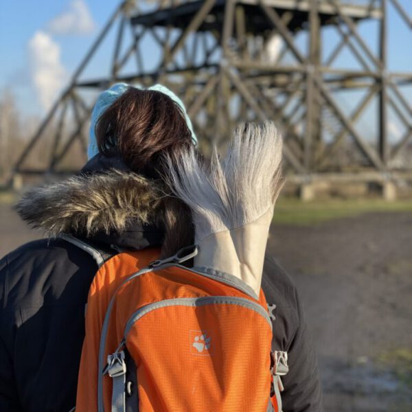 Sittlappar-schwedische Rentierfell-Sitzunterlagen